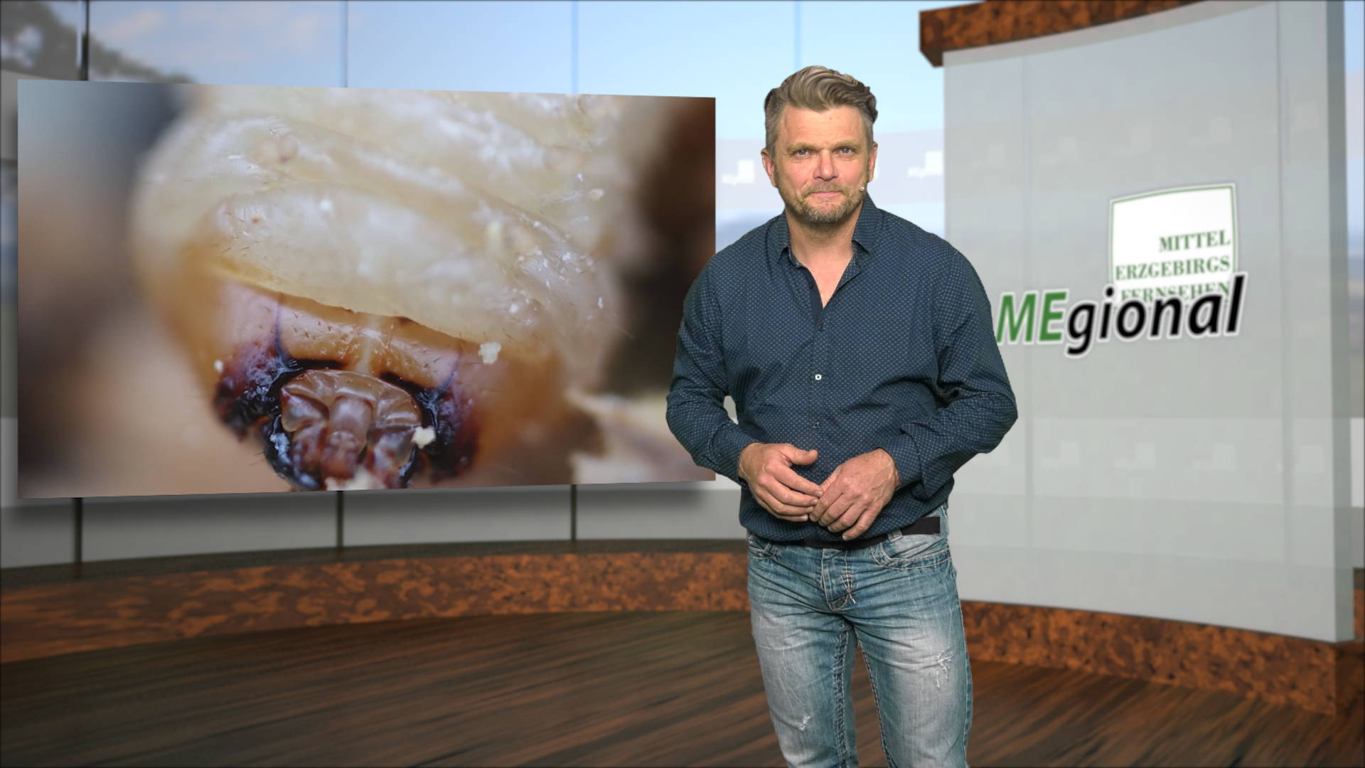 MEgional am 25. Mai 2020 mit dem Borkenkäfer im Erzgebirge